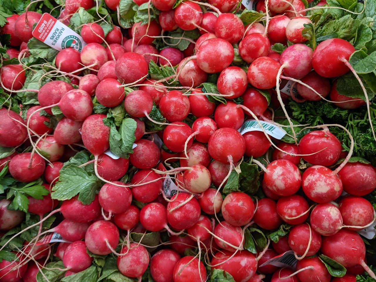 FULL FRAME SHOT OF RED FRUITS