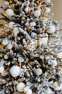 High angle view of shells on tree during winter