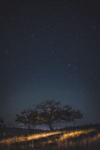 Scenic view of field against sky at night