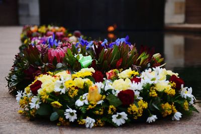 Close-up of flowers on plant