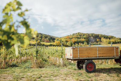 Trailer of a tractor in a vineyard