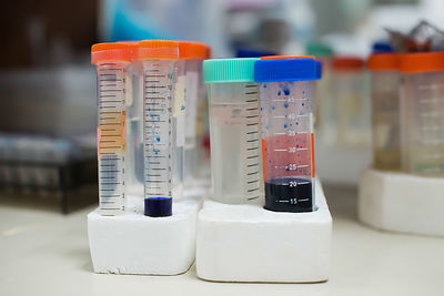 Close-up of multi colored test tubes