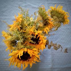 High angle view of yellow flowers on table