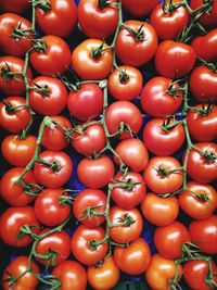 Full frame shot of tomatoes for sale at market stall