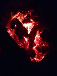 Close-up of bonfire at night