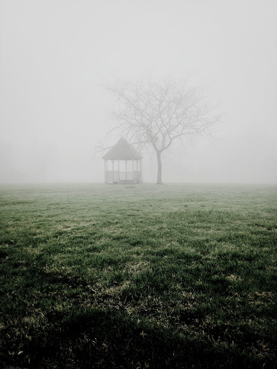 fog, field, grass, foggy, built structure, architecture, landscape, bare tree, tranquility, building exterior, tranquil scene, tree, weather, copy space, nature, grassy, sky, rural scene, beauty in nature