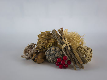 Close-up of pine cone against white background