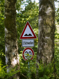 Information sign on tree trunk in forest