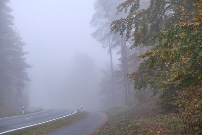 Empty road amidst trees against sky