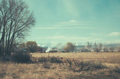 Scenic view of field against sky