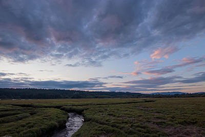 Scenic view of agricultural field against sky during sunset