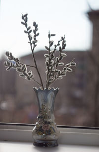 Close-up of vase on table against window