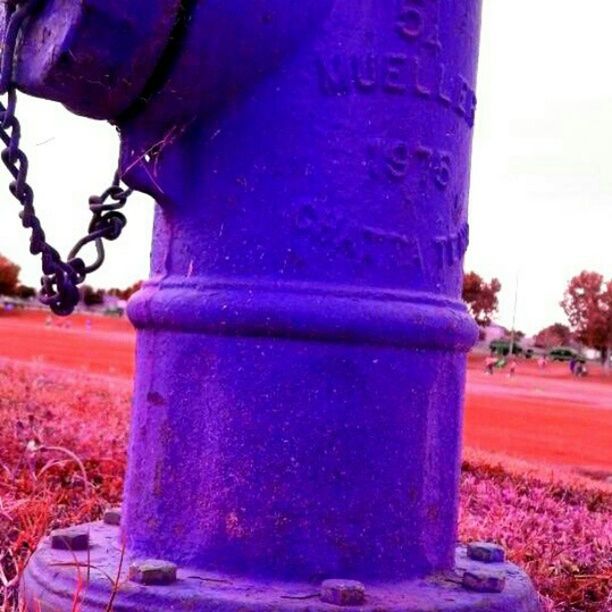 focus on foreground, blue, street, close-up, outdoors, day, park - man made space, building exterior, incidental people, tree, built structure, grass, architecture, road, multi colored, selective focus, car, part of, sunlight, art and craft