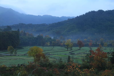 Scenic view of landscape against sky