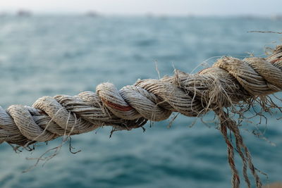 Close-up of rope tied to fishing net at harbor