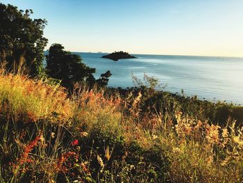 Scenic view of sea against clear sky