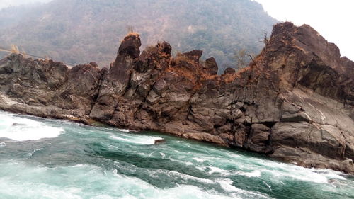 Scenic view of trees on shore against sky
