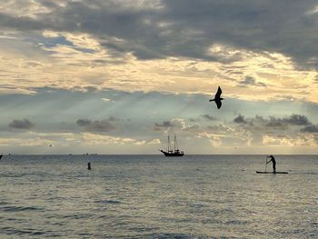 Silhouette birds flying over sea against sky