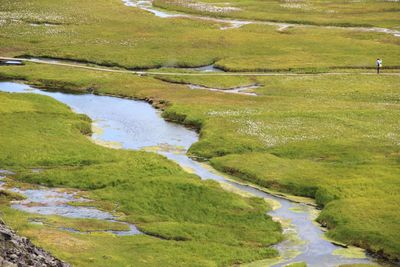 Scenic view of river stream amidst green landscape