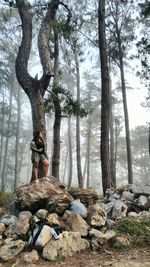 Full length of woman standing on tree trunk in forest