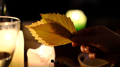 Close-up of hand holding maple leaf