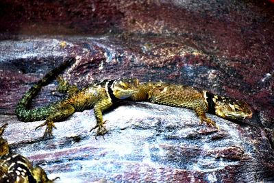 Rocks in water