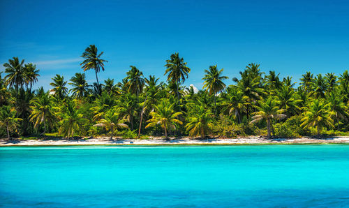 Scenic view of sea against blue sky