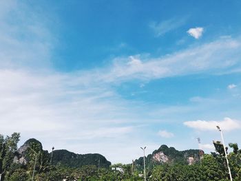 Low angle view of trees against blue sky