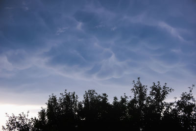 Low angle view of silhouette trees against sky