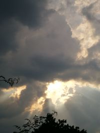 Low angle view of silhouette bird flying against sky