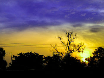 Silhouette trees against sky during sunset