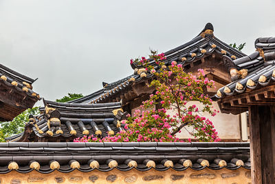 Flowering tree amidst traditional buildings against sky