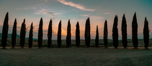 Panoramic shot of field against sky at sunset