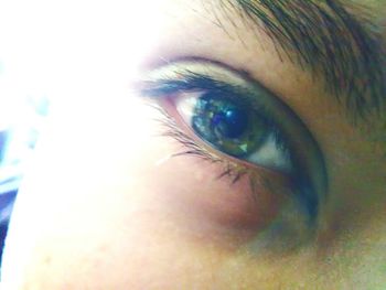 Extreme close up of human eye
