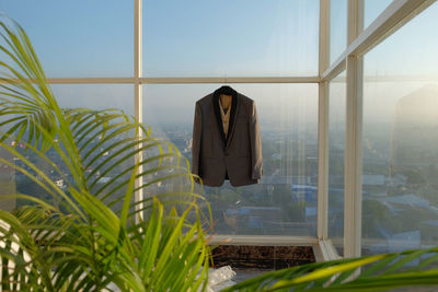 Potted plant against window
