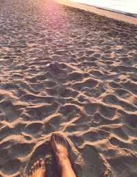 Low section of person on sand at beach