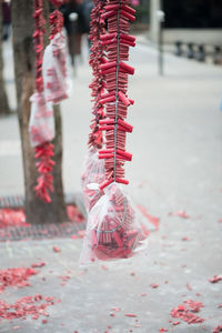 Close-up of christmas decorations