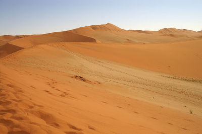 Scenic view of sand dunes in desert against sky