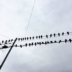 Low angle view of power line