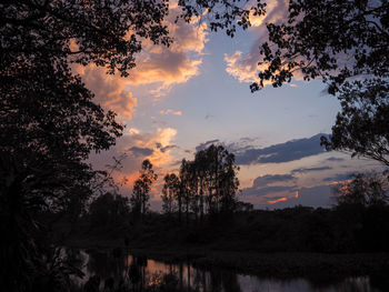 Silhouette trees by lake against sky during sunset