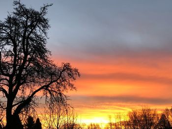 Low angle view of silhouette trees against dramatic sky