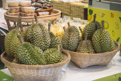 Close-up of succulent plants in market