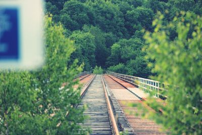 Railroad tracks amidst trees