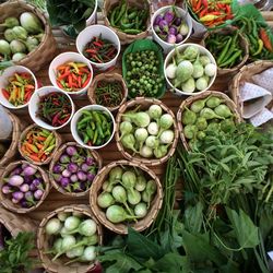 High angle view of various vegetables in containers arranged on table