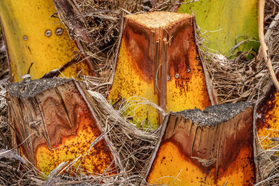 Close-up of damaged rusty metal