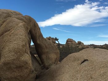 Elephant on rock against sky