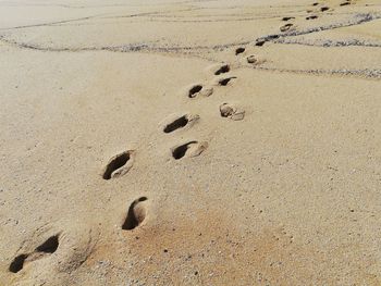 High angle view of footprints on sand at beach