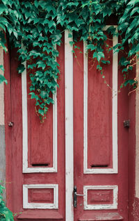 Closed door of building