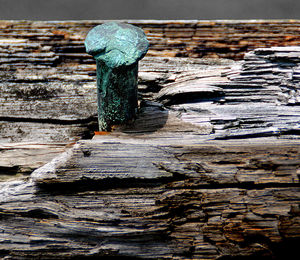 Close-up of old wooden log