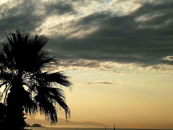 Low angle view of silhouette palm trees against sky